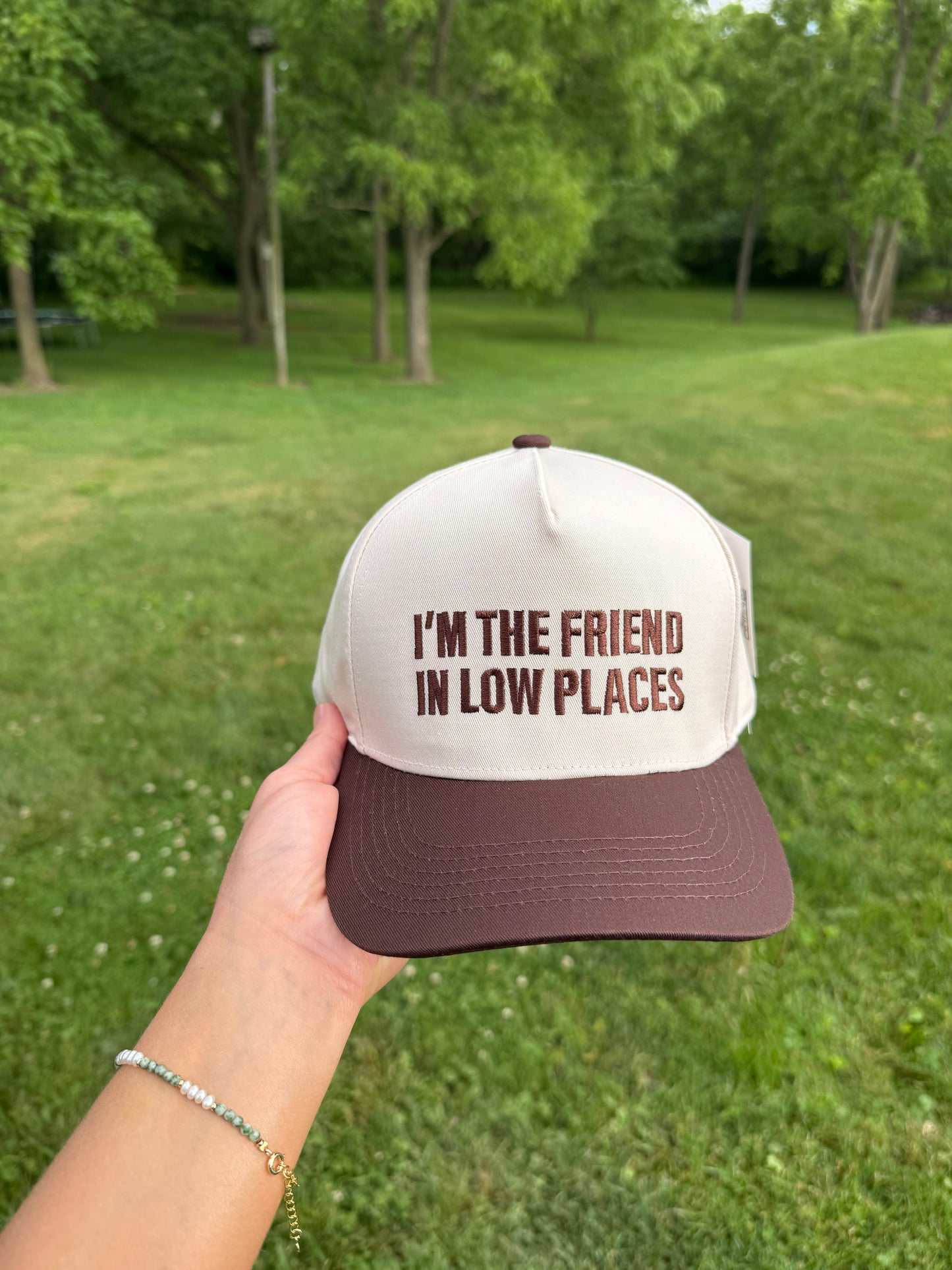 I'm the Friend in Low Places - Brown/Beige