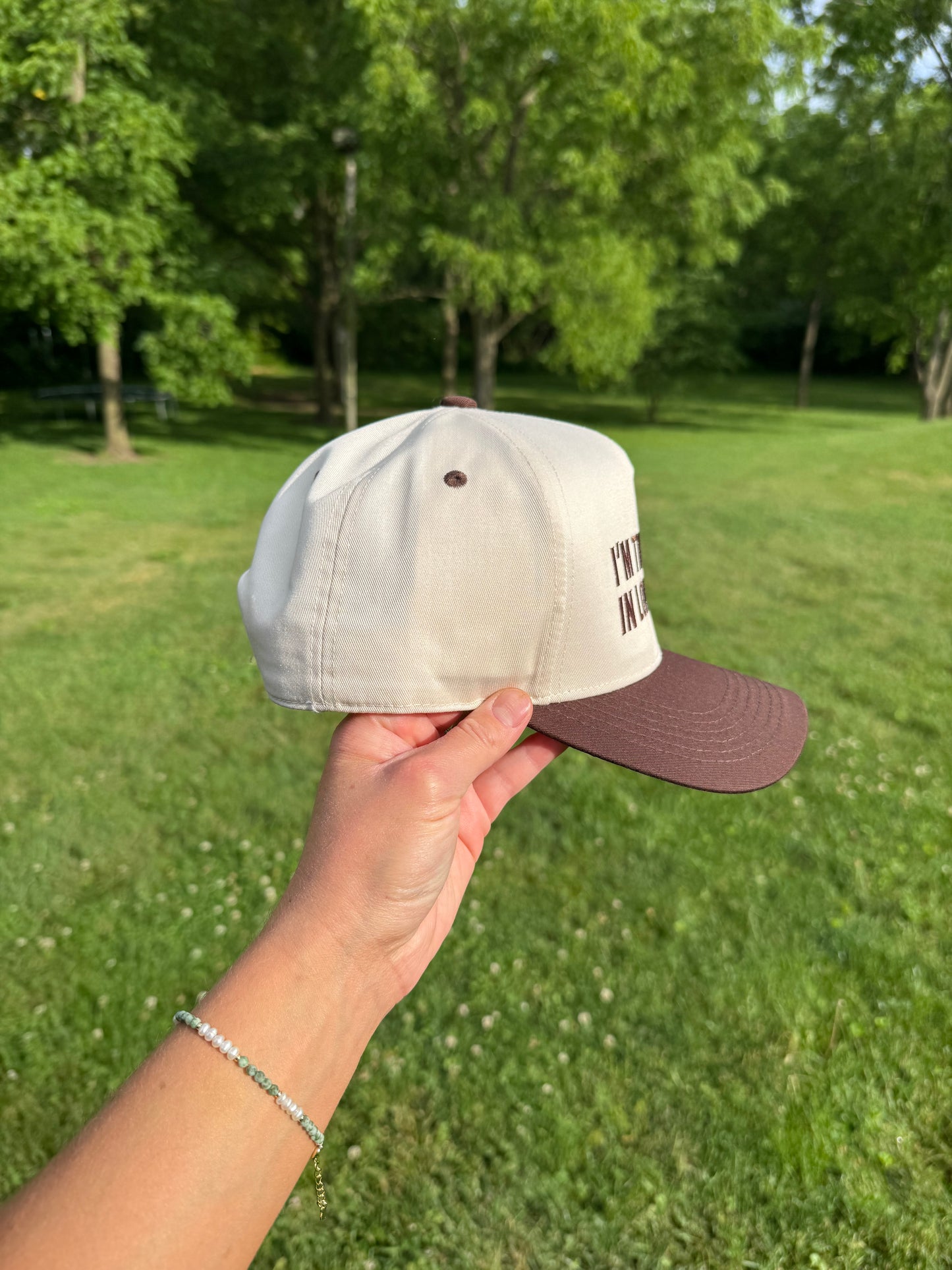 I'm the Friend in Low Places - Brown/Beige